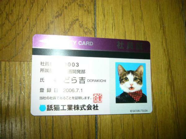 猫　なめ猫　社員証　カード　どら吉　赤いスカーフをしてる　ニャ～　裏は紫色　他カードどの同梱可　なめんなよが人気ですので　未使用　