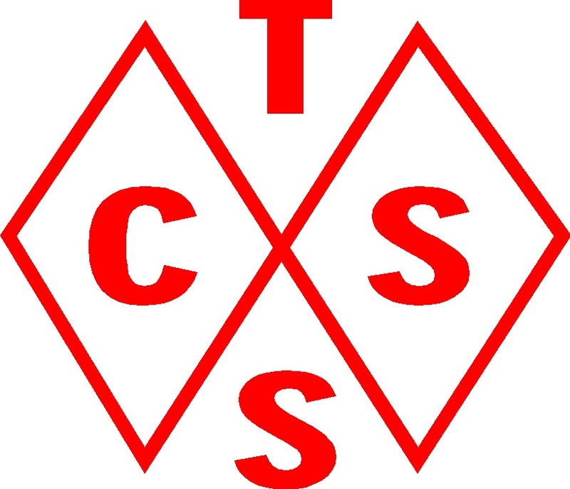 作成代行B仕様 T.C.S.S. TCSS ステッカー ハイグレード耐候６年oracal651 40色以上から選べます。