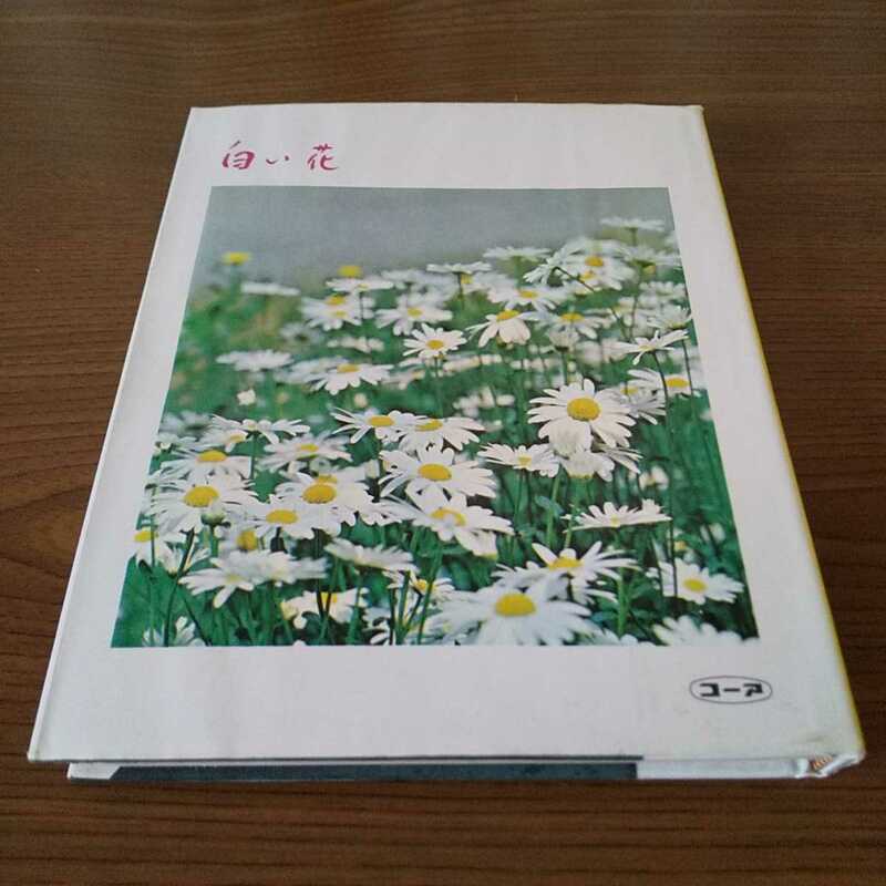 文具店在庫品 昭和レトロ☆コーア【白い花】自由日記☆