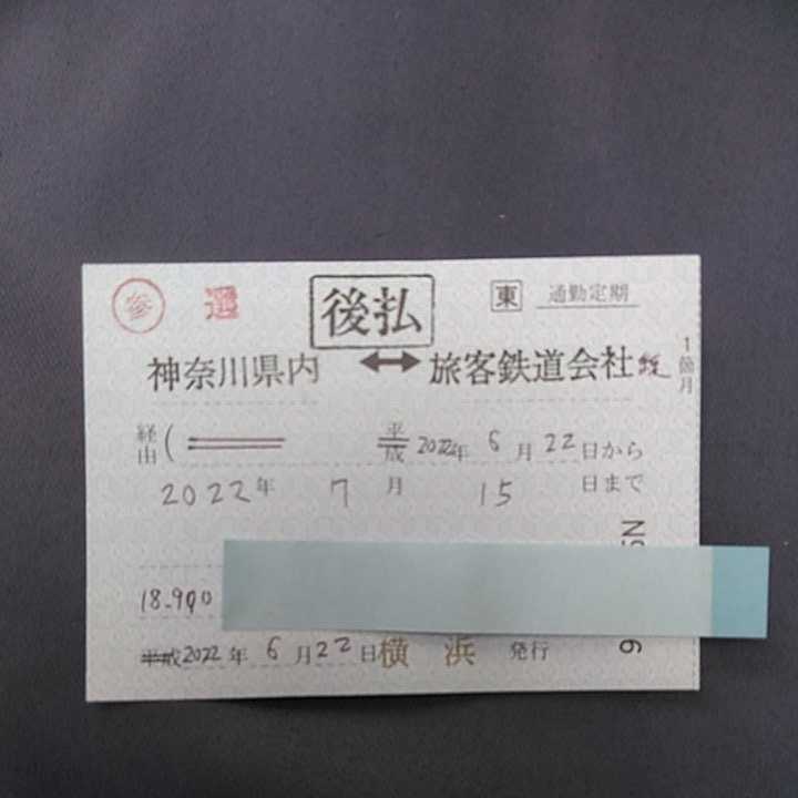 JR東日本神奈川県内　全線　参議院議員選挙用パス