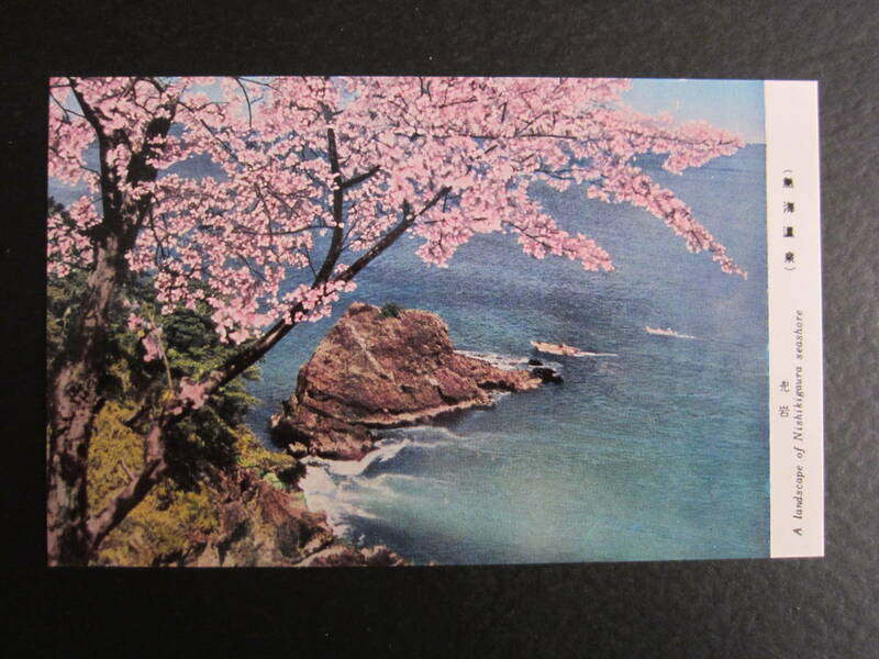 熱海■熱海温泉■兜岩■錦ヶ浦■桜■レトロ■昭和40年代■絵葉書