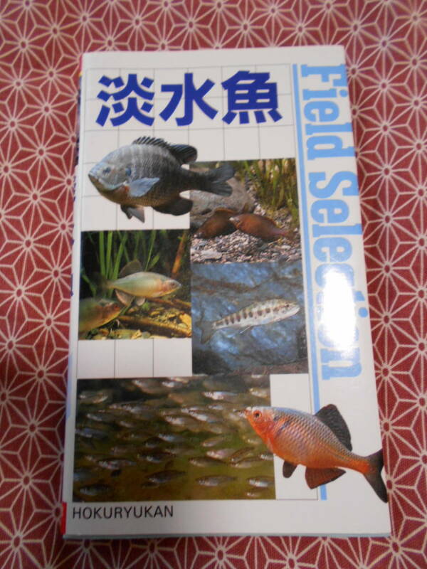 ★淡水魚 (フィールドセレクション)★北隆館★この本片手に日本の自然を満喫しましょう。いろいろな魚種を知ってください！オールカラー