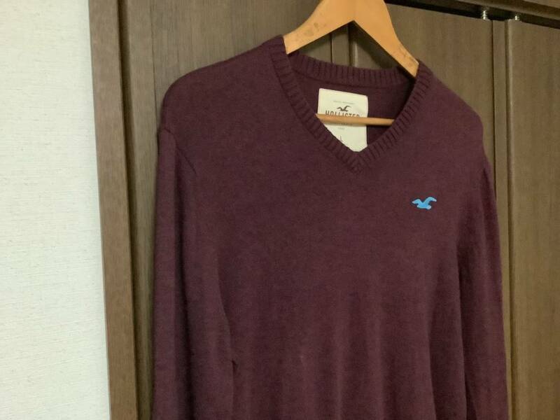 HOLLISTER ホリスター　セーター　Lサイズ　ブラウン／水色カモメ　薄手セーター　送料無料