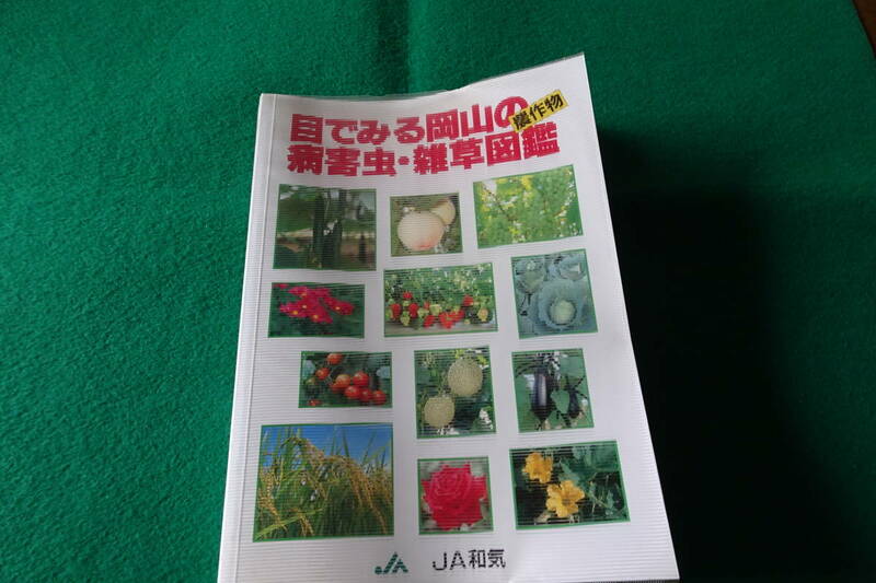 【目で見る岡山の農作物病害虫・雑草図鑑】