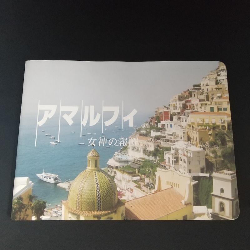 映画パンフレット チケット半券付き　アマルフィ 女神の報酬　織田裕二　天海祐希 他　2009年