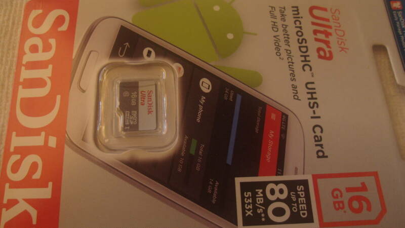 sandisk 16gb