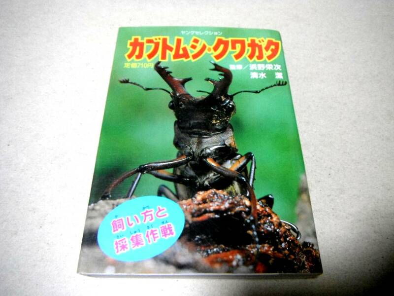 「カブトムシ・クワガタ 飼い方と採集作戦 ヤングセレクション」監修/浜野栄次・清水 傑