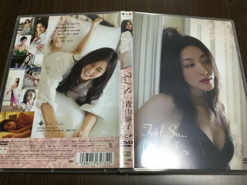 ◆discキズ汚れ多め～多 動作OK◆青山倫子 feel so … DVD 国内正規品 ポニーキャニオン 即決