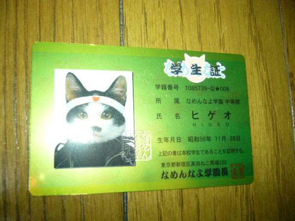 猫　なめ猫　カード　学生証　ヒゲオ　革ジャン姿　日の丸の白い鉢巻　可愛い　光沢の緑系　ネコ　なめんなよ　他カードとの同梱可　未使用