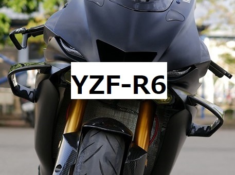 YZF-R1 カーボン ウイングレット