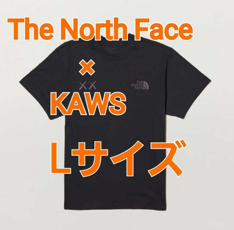 The North Face×KAWS☆T-shirt Large Lサイズ Black ブラック 黒 Tシャツ ノースフェイス カウズ