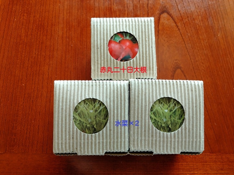 ■新品「エコポット栽培3点セット(赤丸二十日大根・水菜×2)」■送料込