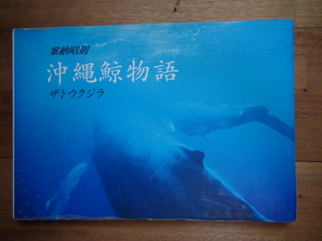 沖縄鯨物語 ザトウクジラ