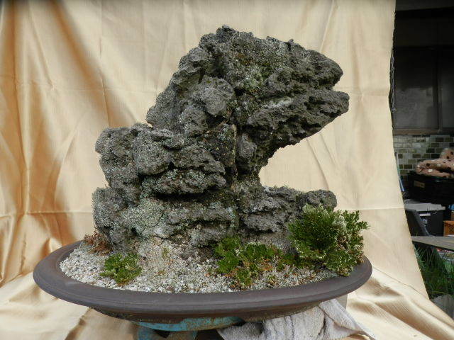 枯れ盆栽　盆石　19kg　高さ43cm　