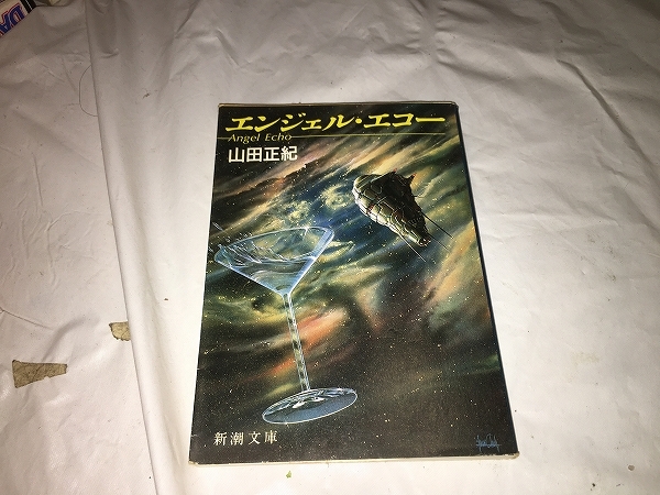 【山田正紀　エンジェル・エコー】