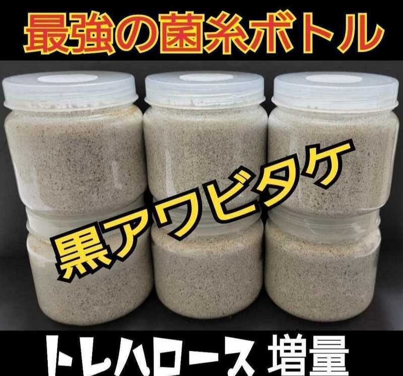 極上！黒アワビタケ菌糸瓶　特殊アミノ酸強化配合！ニジイロクワガタ、色虫、オオクワガタやヒラタ、ノコギリの初令、2令にもお薦めです