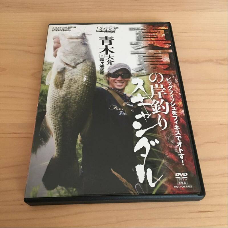 青木大介 真夏の岸釣りスキャンダル DVD