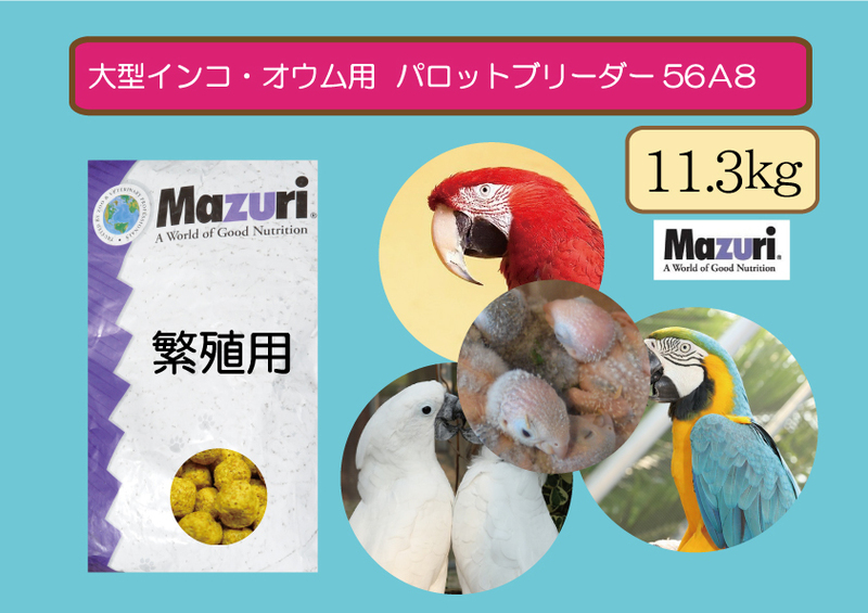 【期間限定SALE大特価】【Mazuriマズリ】大型インコ・オウム56A9 パロットブリーダー 11.3ｋｇ 