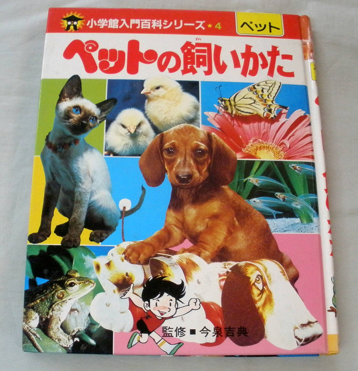 ★【児童書】小学館入門百科シリーズ　ペットの飼いかた ★ 今泉吉典 ★ 小学館 ★