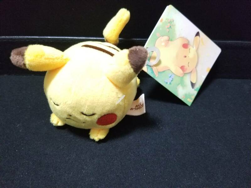 送料無料 ポケモン ピカチュウ マスコット にぎってむにむにぬいぐるみ みんなおつかれさま pokemon Pikachu Plush Doll