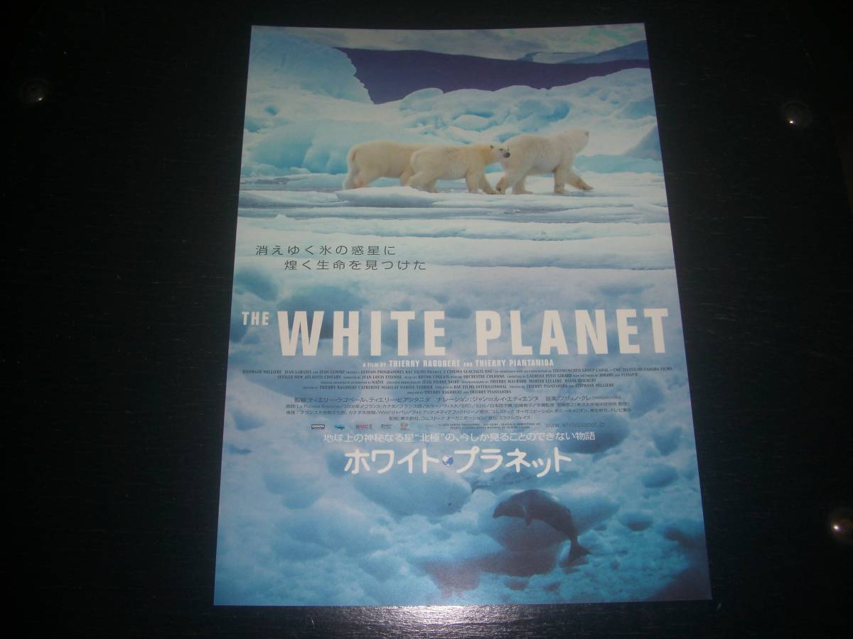 映画チラシ　『 ホワイト・プラネット 』　2006年