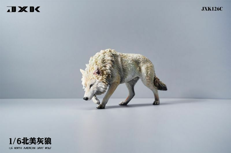 JxK Studio 狼 ハイイロオオカミ JXK126 C フィギュア 1/6スケール 北アメリカ 灰色 オオカミ 動物 狼の置物