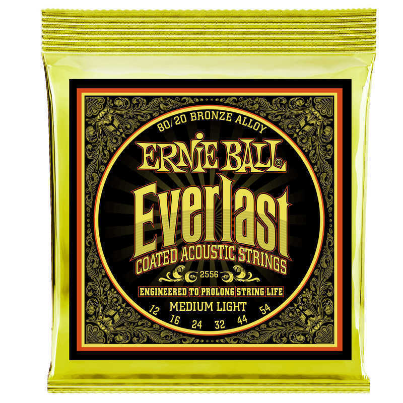 ERNIE BALL コーティング アコギ弦 80/20 ブロンズ EVER LAST MEDIUM LIGHT ゲージ 12-54 買いだおれ