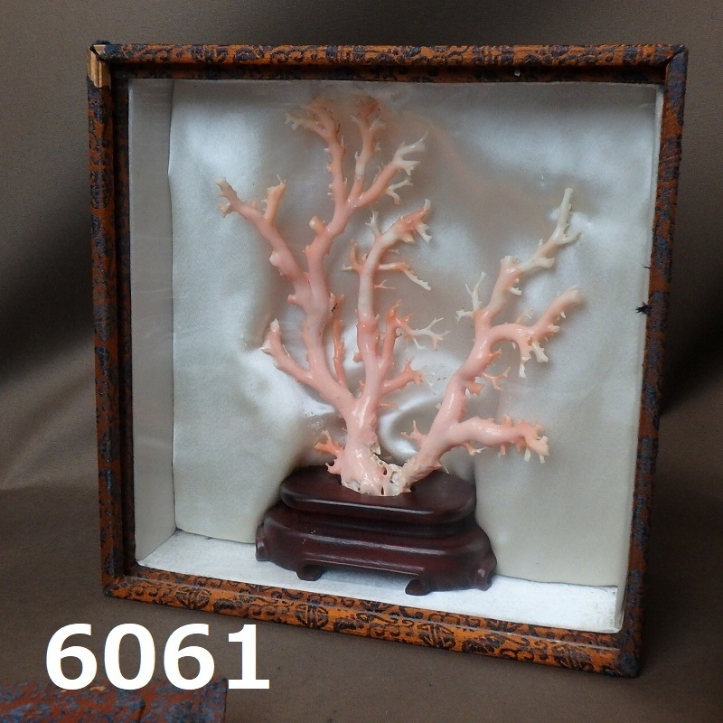 FK-6061　中国美術　珊瑚置物　ケース付き　枝珊瑚　サンゴ