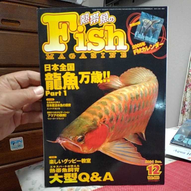 龍魚万歳!! PART１ アロワナ お宅訪問 日本産 淡水魚 の飼育 楽しい グッピー 飼育 ハナミノカサゴ フィッシュマガジン 2004.12①