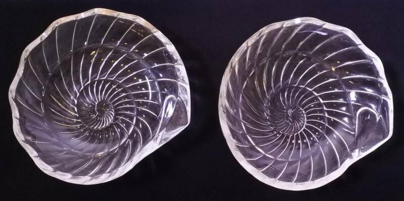長谷川硝子 トロピカルシェル オウム貝 2枚セット ガラス 皿 小鉢 izmkik a201h1007