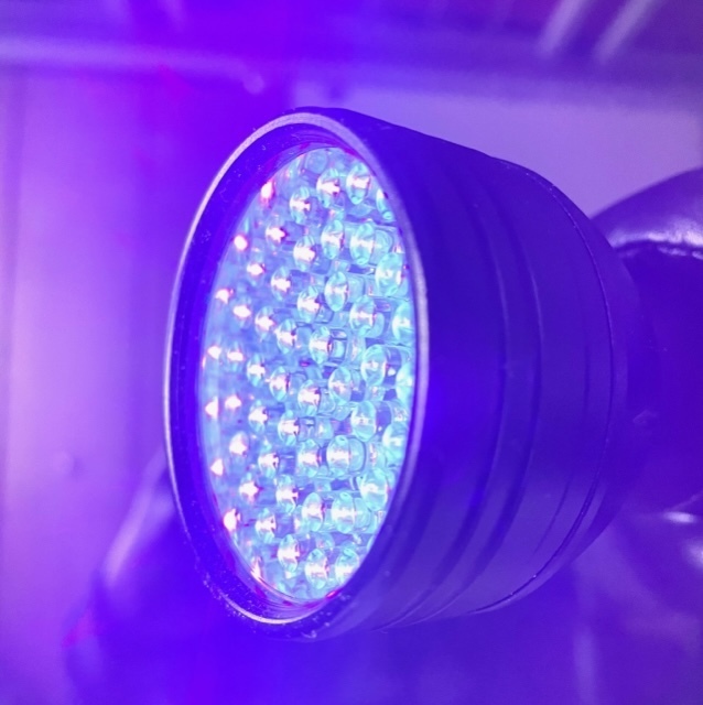 未使用：大口径LED　ブラックライト　UV紫外線　LEDライト