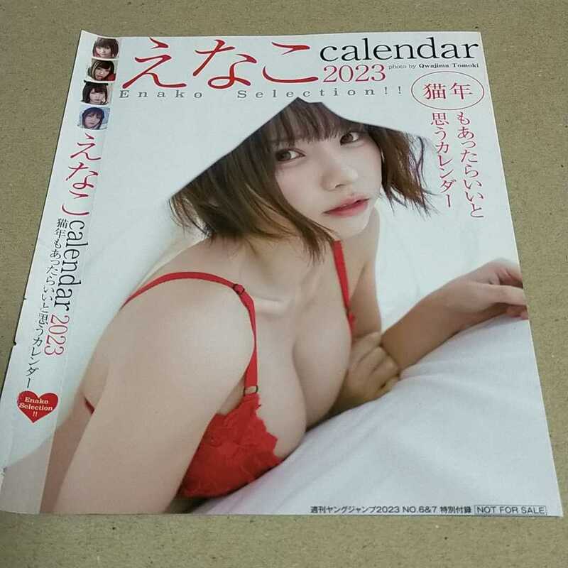 91 えなこ calendar2023 ヤングジャンプ