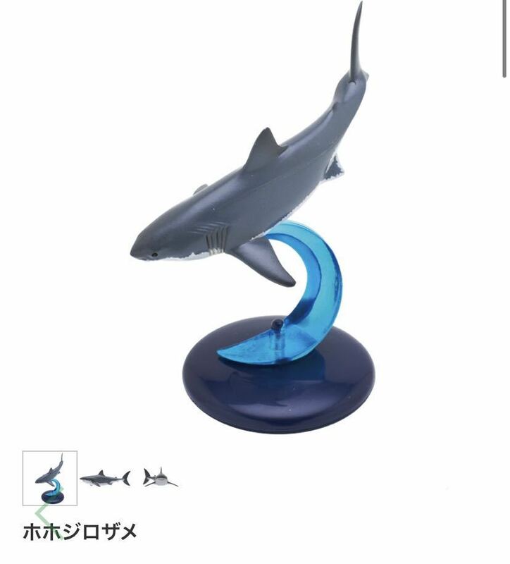 ★ミニチュアフィギュア★いきもん　ネイチャーテクニカラー　サメ　ガチャガチャ　ホホジロザメ
