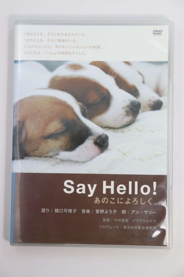 ■ＤＶＤ■Ｓａｙ　Ｈｅｌｌｏ！あのこによろしく。■樋口可南子他■中古■