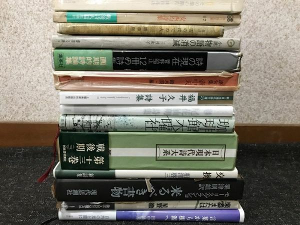 詩集まとめ売り14冊セット まとめて/斎藤庸一/ブランショ/星野徹/安西均/尾花仙朔/鈴木漠/菅野昭正/三枝和子/相澤啓三