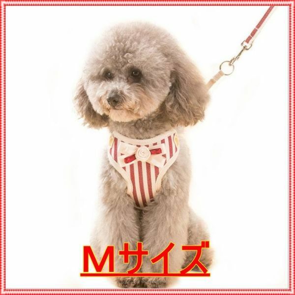 ★おしゃれ★ペット用　小型犬用　Ｍサイズ　ワイン　ハーネス　リード付き　ストライプ　リボン