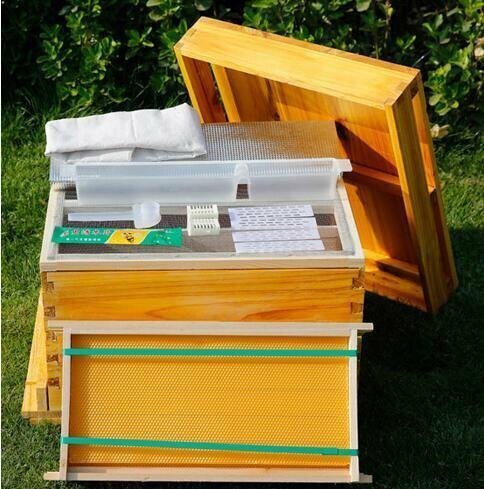 新入荷★極上質★みつばち飼育用巣箱 巣枠式巣箱 杉木製 ミツバチ 飼育巣箱 蜜蝋塗り 養蜂器具