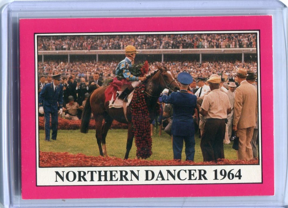 1991 Horse Star Kentucky Derby 90 Northern Dancer　ノーザンダンサー