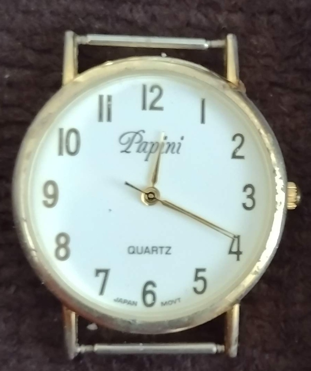 Papiniパピーニ腕時計ベルトはオマケUSED
