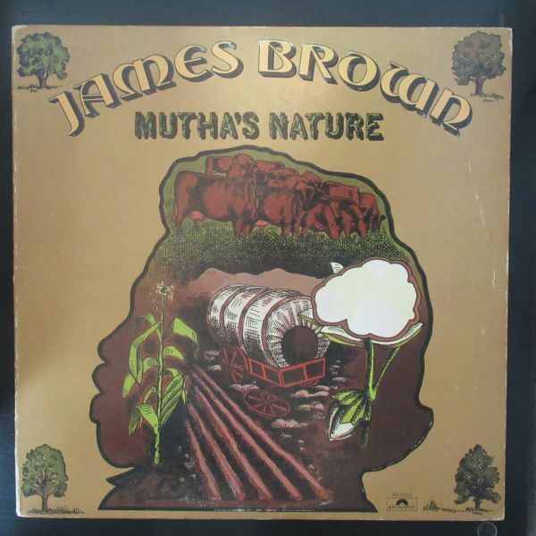 SOUL LP/US ORIG./James Brown - Mutha's Nature/Drum Break/A-9348