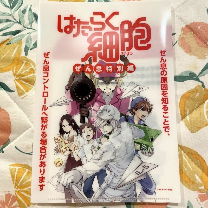 はたらく細胞☆ぜん息特別編☆クリアファイル３枚セット☆清水茜・クロ☆講談社☆アストラゼネカ☆新品未使用☆