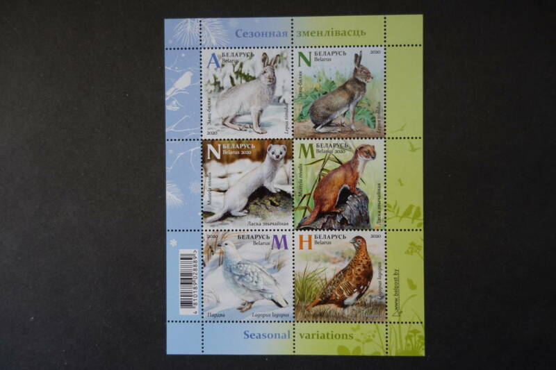 外国切手：ベラルーシ切手 「動物」（ユキウサギ ほか）6種ｍ/ｓ 未使用