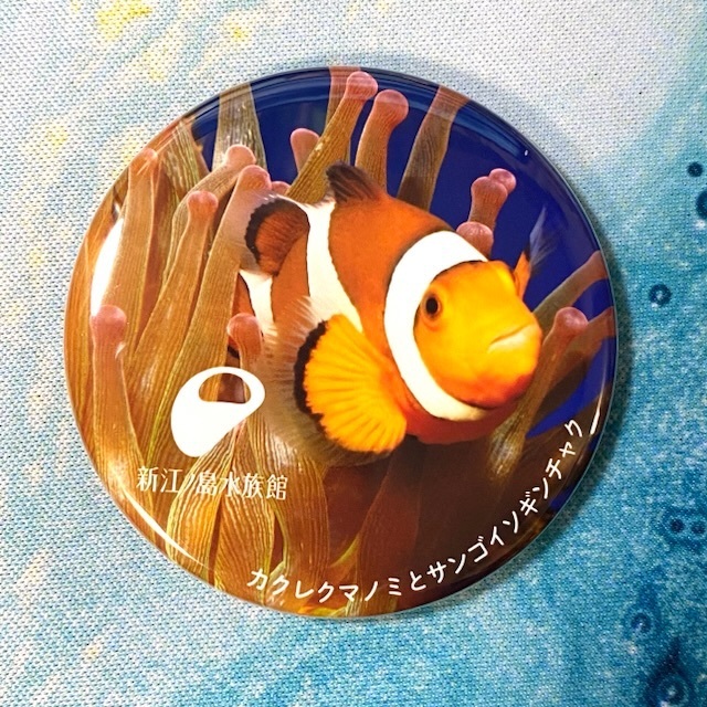 ★未使用品★ 「えのすい 缶バッジ Vol.2」カクレクマノミ　新江ノ島水族館 