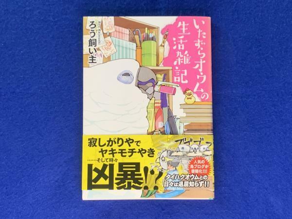 KK344　いたずらオウムの生活雑記　ろう飼い主　