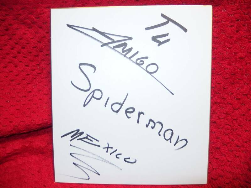 スパイダーマン(大日本プロレス)