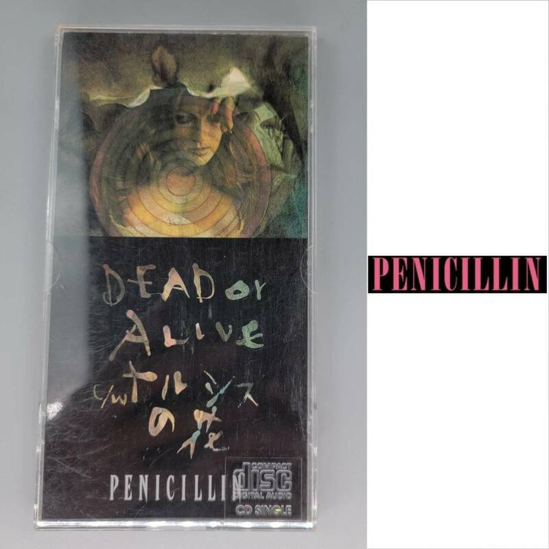 ●DEAD or ALIVE●ペニシリン PENICILLIN CD 8cm シングル 同梱可能 音楽 ミュージック CD・DVDシリーズ