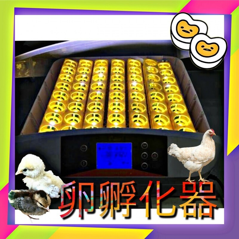 最大56個　全自動孵卵器　孵卵機　ふ卵器　孵化器　インキュベーター 送料無料　y