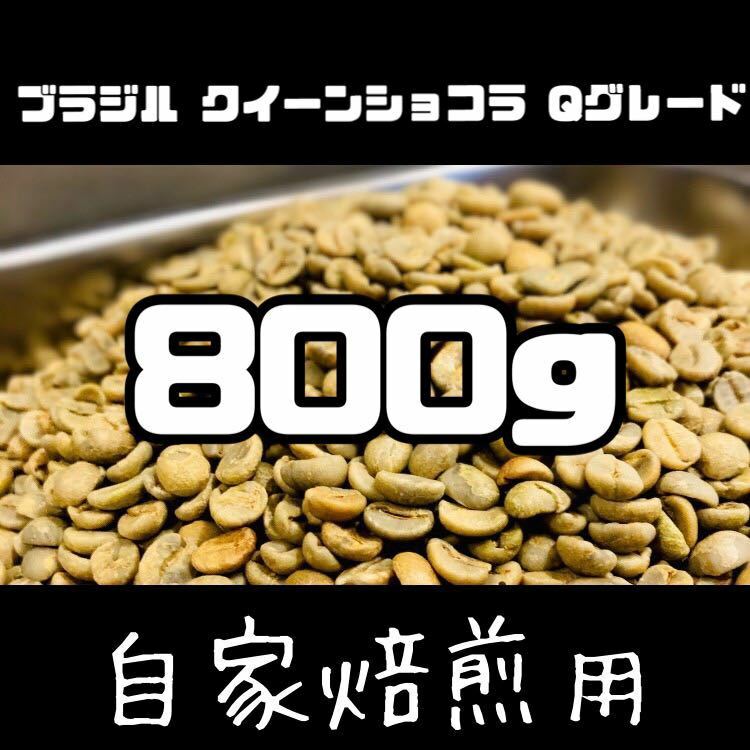 ブラジル クイーンショコラ 生豆 800g コーヒー豆 珈琲豆