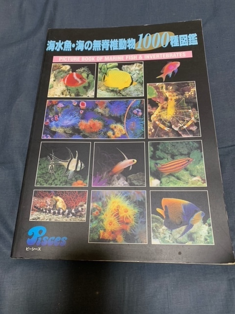 海水魚・海の無脊椎動物1000種図鑑 ピーシーズ 初版