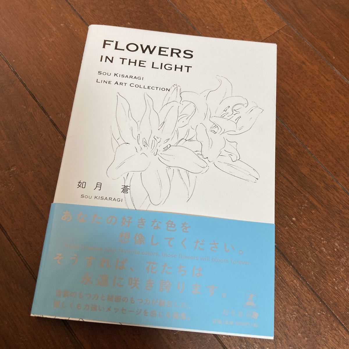 ＦＬＯＷＥＲＳ　ＩＮ　ＴＨＥ　ＬＩＧＨＴ　ＳＯＵ　ＫＩＳＡＲＡＧＩ　ＬＩＮＥ　ＡＲＴ　ＣＯＬＬＥＣＴＩＯＮ 如月蒼／著